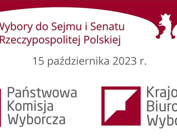wybory