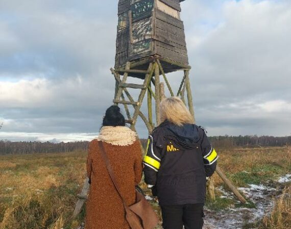 BEZDOMNI – monitoring miejsc niemieszkalnych 3